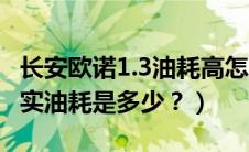 长安欧诺1.3油耗高怎么解决（长安欧诺1.5真实油耗是多少？）