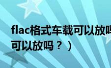 flac格式车载可以放吗（flac是什么格式车里可以放吗？）