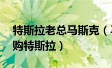 特斯拉老总马斯克（马斯克:曾考虑让苹果收购特斯拉）