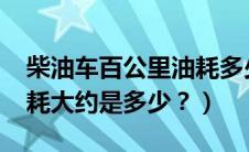 柴油车百公里油耗多少（夏利N5的百公里油耗大约是多少？）