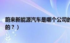 蔚来新能源汽车是哪个公司的（凌宝新能源汽车是哪个公司的？）