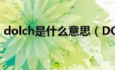 dolch是什么意思（DOHC代表什么意思？）