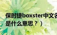 保时捷boxster中文名（保时捷Boxster名称是什么意思？）