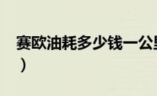 赛欧油耗多少钱一公里（2.0排量百公里油耗）