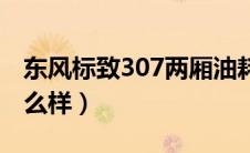 东风标致307两厢油耗（东风标致307三厢怎么样）