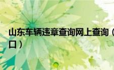 山东车辆违章查询网上查询（山东车辆违章查询系统官方入口）