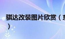 骐达改装图片欣赏（东风日产骐达改装方案？）