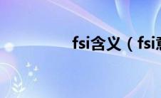 fsi含义（fsi意思是什么）