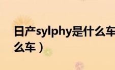 日产sylphy是什么车系（日产SYLPHY是什么车）