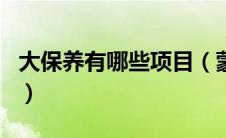 大保养有哪些项目（蒙迪欧十万公里保养项目）