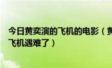 今日黄奕演的飞机的电影（黄奕演的一部电影她是一位空姐飞机遇难了）