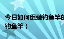 今日如何组装钓鱼竿的浮漂和钩子（如何组装钓鱼竿）