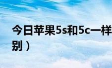 今日苹果5s和5c一样大吗（苹果5s和5c的区别）