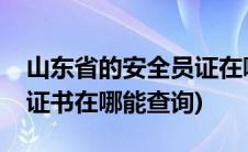 山东省的安全员证在哪里查询(山东省安全员证书在哪能查询)