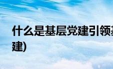 什么是基层党建引领基层治理(什么是基层党建)