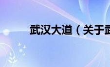 武汉大道（关于武汉大道的介绍）