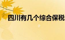 四川有几个综合保税区(四川有几个机场)