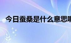 今日蚕桑是什么意思呢（蚕桑是什么意思）