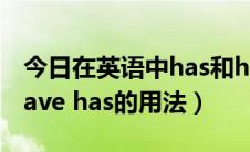 今日在英语中has和have的用法（英语语法have has的用法）