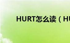 HURT怎么读（HURT英语怎么读）