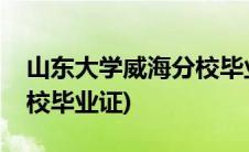 山东大学威海分校毕业证书(山东大学威海分校毕业证)