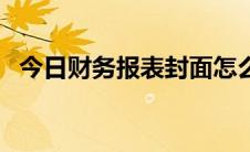 今日财务报表封面怎么写（财务报表封面）