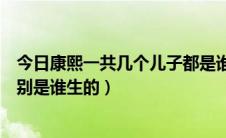 今日康熙一共几个儿子都是谁生的（康熙一共有几个儿子分别是谁生的）