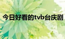 今日好看的tvb台庆剧（好看的TVB侦探片）