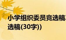 小学组织委员竞选稿200字(小学组织委员竞选稿(30字))