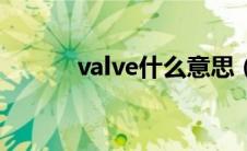 valve什么意思（valve的意思）