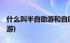 什么叫半自助游和自助游(什么是自助 半自助游)