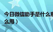 今日微信助手是什么意思（微信助手是什么怎么用）