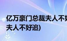 亿万豪门总裁夫人不好追 小说(亿万豪门总裁夫人不好追)