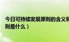 今日可持续发展原则的含义和内容（可持续发展的实质和原则是什么）