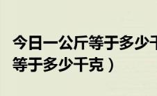 今日一公斤等于多少千克等于多少斤（一公斤等于多少千克）