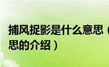 捕风捉影是什么意思（关于捕风捉影是什么意思的介绍）