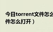 今日torrent文件怎么变成mp4（Torrent文件怎么打开）