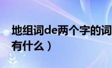 地组词de两个字的词（地组词de两个字的词有什么）