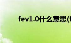 fev1.0什么意思(fev1是什么意思)