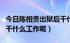 今日陈相贵出狱后干什么工作（陈相贵出狱后干什么工作呢）