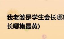 我老婆是学生会长哪集高能(我老婆是学生会长哪集最黄)