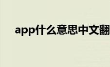 app什么意思中文翻译（app什么意思）