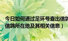 今日如何通过足环号查出信鸽信息（怎样通过信鸽足环查找信鸽所在地及其相关信息）