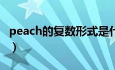 peach的复数形式是什么（peach是什么意思）