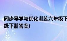 同步导学与优化训练六年级下数学(同步导学与优化训练六年级下册答案)