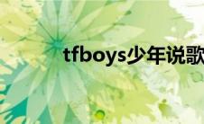 tfboys少年说歌词(少年说歌词)