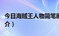 今日海贼王人物简笔画步骤图（海贼王人物简介）