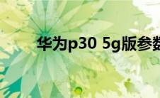 华为p30 5g版参数（华为p30 5g）