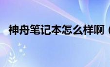 神舟笔记本怎么样啊（神舟笔记本怎么样）