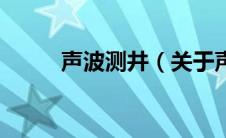 声波测井（关于声波测井的介绍）